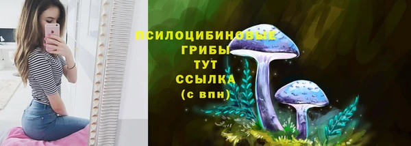 СК Алзамай